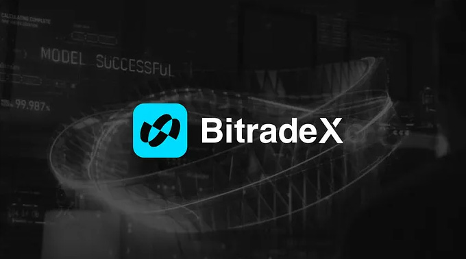 bitradex003.jpg